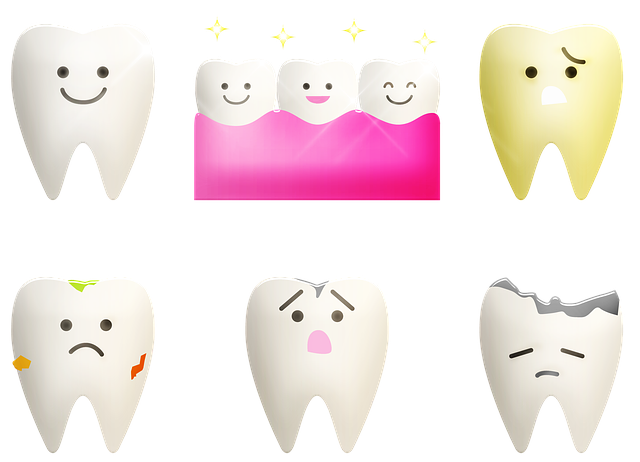 実は一年間歯医者に通っていました 歯の矯正をしました Happy Go Lucky 心地いい暮らしのコツ Powered By ライブドアブログ 実は一年間歯医者に通っていました 歯の矯正をしました Happy Go Lucky 心地いい暮らしのコツ Powered By ライブドアブログ