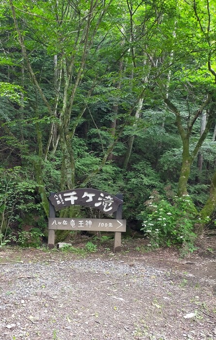 IMG20240719112944