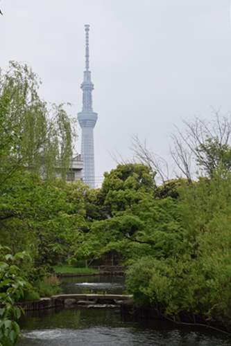 向島百花園7