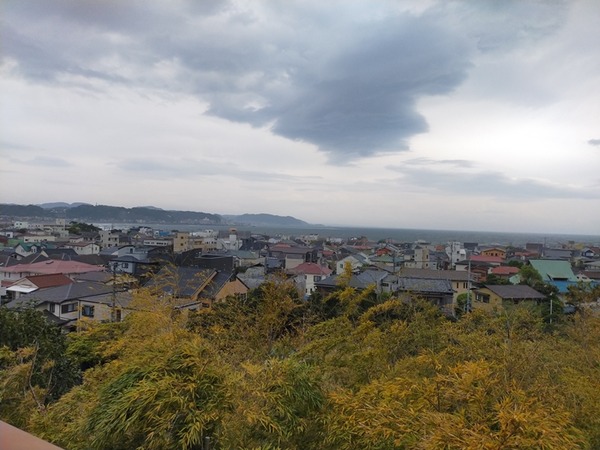 IMG20230412144457