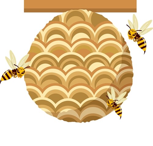 1565523