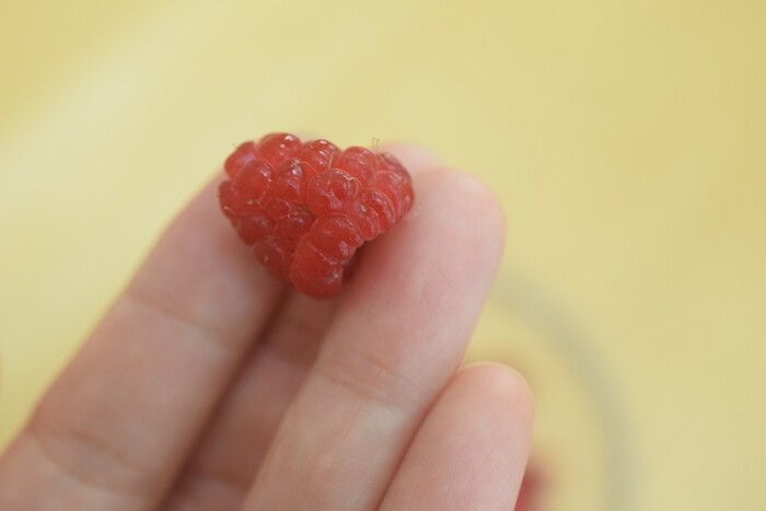 木苺 ラズベリーの収穫とジャム作り Happy Go Lucky 心地いい暮らしのコツ Powered By ライブドアブログ 木苺 ラズベリーの収穫とジャム作り Happy Go Lucky 心地いい暮らしのコツ Powered By ライブドアブログ