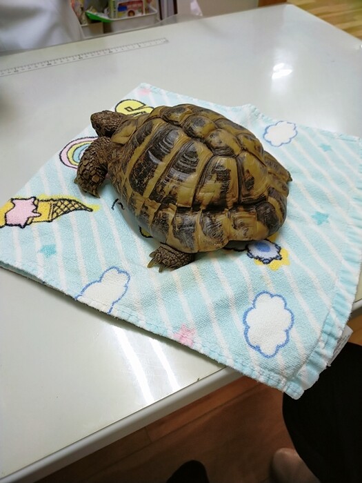 2024-10-12-17-42-22-696