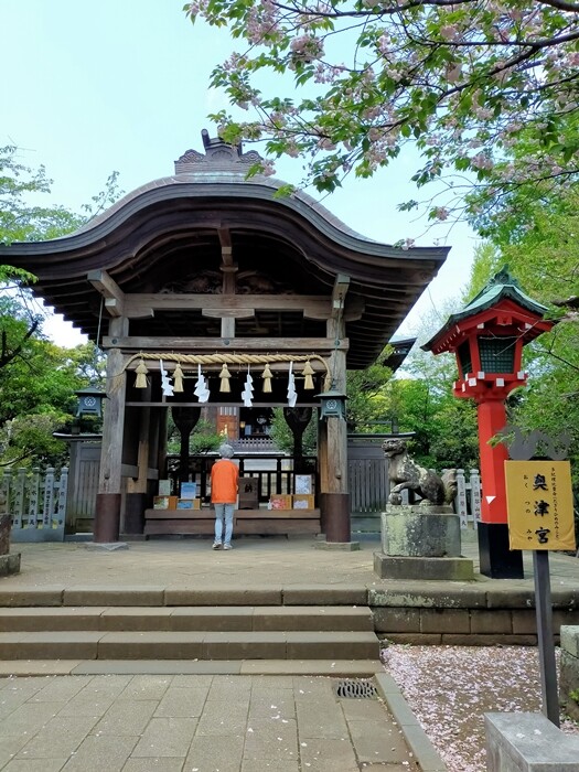 IMG20230412111830