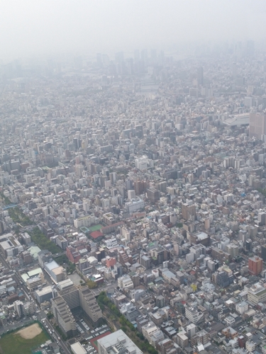 遠くは見えない