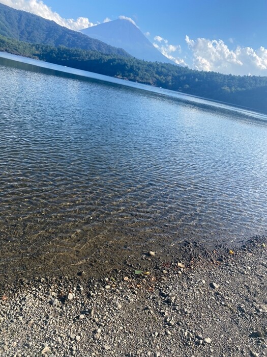 line_294019243185025