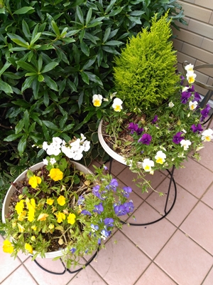 BEFORE3_201605201948551fe.jpg