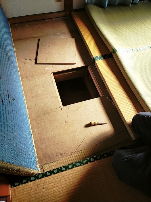 2024-11-12-09-09-44-705