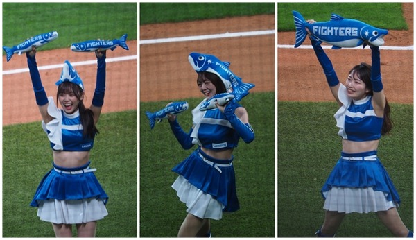 ファイターズガール