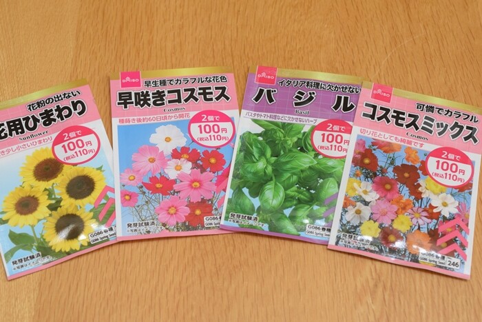 2袋100円の種 ダイソーの種から立派な キンセンカ が咲きました Happy Go Lucky 心地いい暮らしのコツ Powered By ライブドアブログ