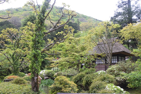 庭 (2)