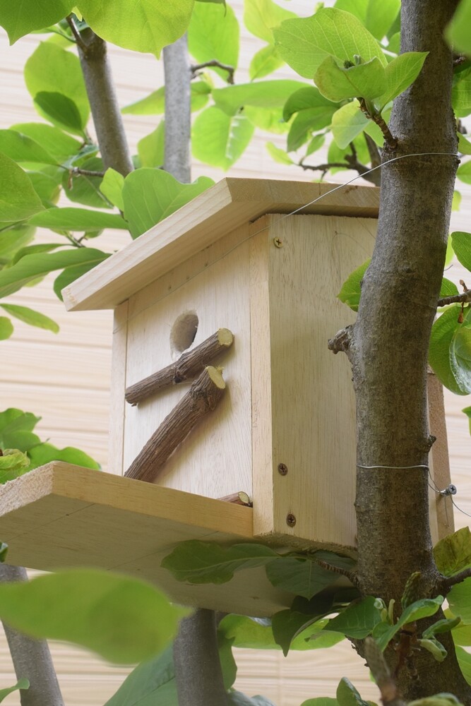 家にあった板でdiy 鳥の巣箱をつくりました Happy Go Lucky 心地いい暮らしのコツ Powered By ライブドアブログ 家にあった板でdiy 鳥の巣箱をつくりました Happy Go Lucky 心地いい暮らしのコツ Powered By ライブドアブログ
