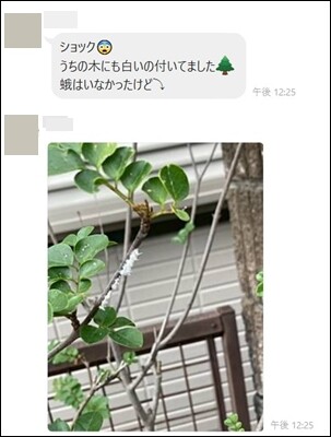 スクリーンショット 2025-10-06 123304