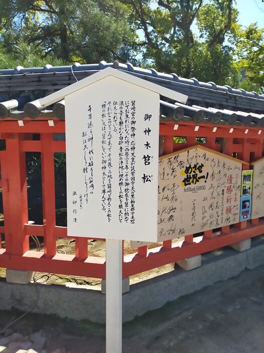 IMG20240917132925