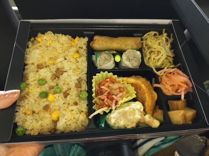 セ・パ交流戦2024＠東京ドーム】初めてのロイヤルウイング席✨お友達と