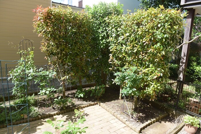 Gwは庭仕事 庭木の剪定とレンガに高圧洗浄機をかける Happy Go Lucky 心地いい暮らしのコツ Powered By ライブドアブログ