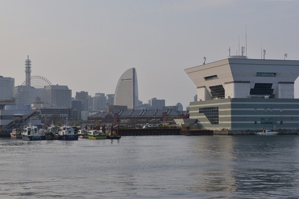 DSC_7155