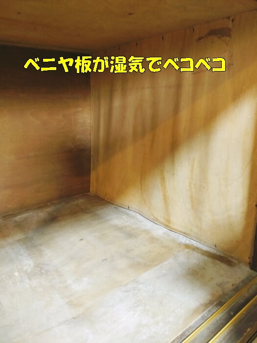 IMG20250304101638