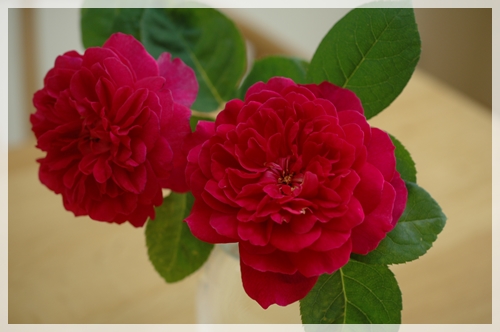 7c782d55.jpg