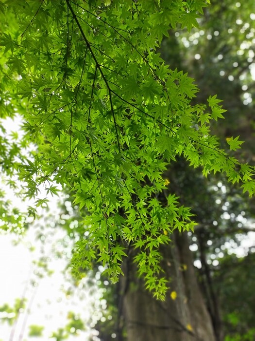 IMG20230412144320