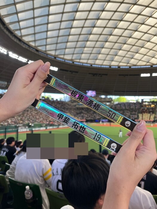 S__224985105_0
