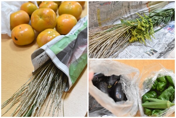 山梨の実家から