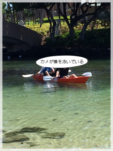 ボートを借りる