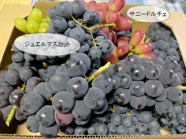 IMG20220917170905