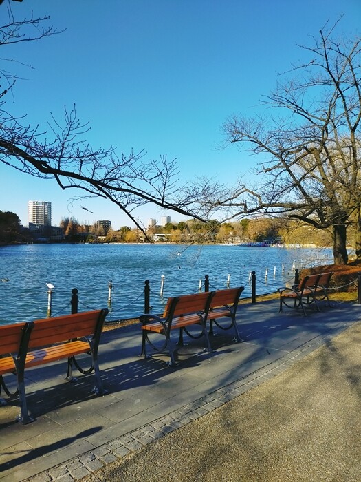 IMG20250211151315