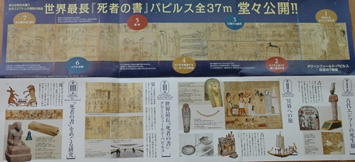 a384443e.jpg