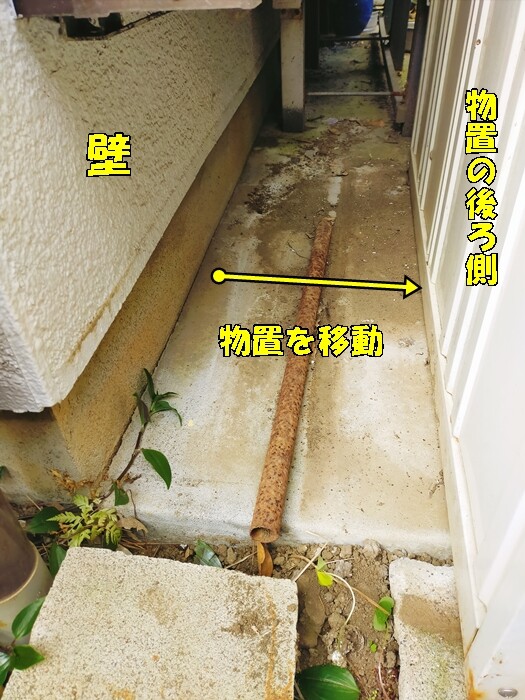 IMG20250112132425