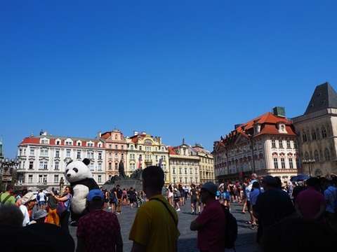 P7310211