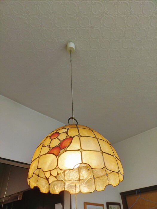 IMG20250112142818