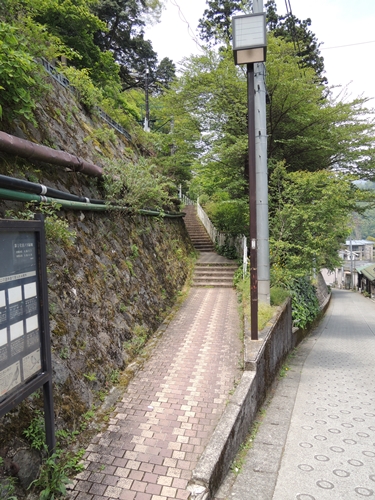 駅からはこの道