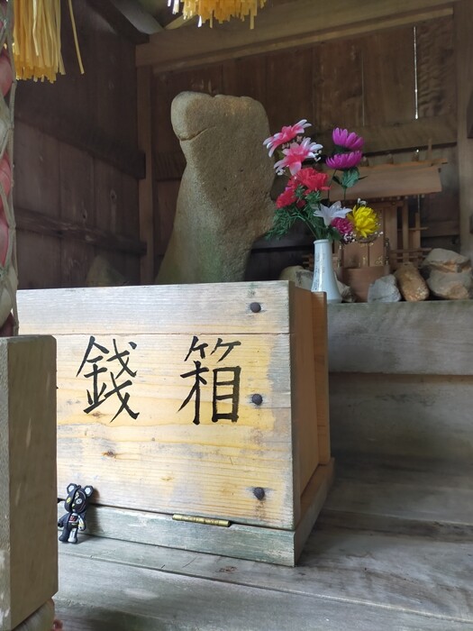 IMG20250703103553