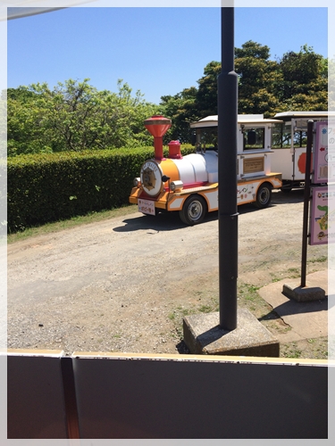 これに乗って帰りました…