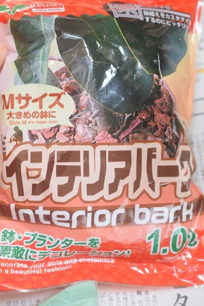 観葉植物 パキラの剪定 ダイソーの観葉植物の土 100均 Happy Go Lucky 心地いい暮らしのコツ Powered By ライブドアブログ 観葉植物 パキラの剪定 ダイソーの観葉植物の土 100均 Happy Go Lucky 心地いい暮らしのコツ Powered By ライブドアブログ