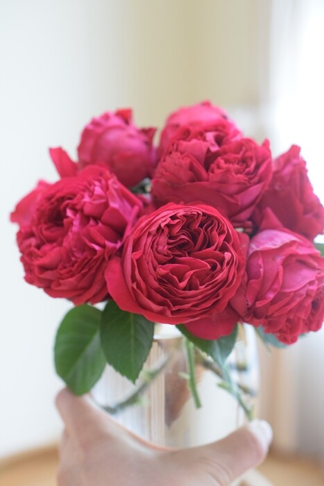 DSC_0200