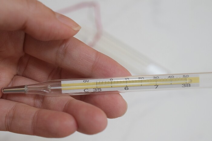 昭和は遠くになりにけり 水銀体温計を知らない子どもたち 製造禁止になっていた happy go lucky 心地いい暮らしのコツ powered by ライブドアブログ