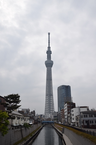 スカイツリーが見える