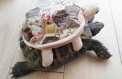 c37420f5.jpg