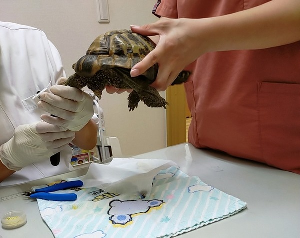 2024-10-12-17-45-02-435