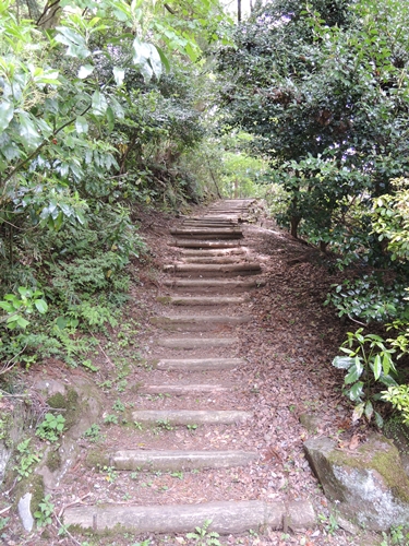 ヒールでなくてよかった