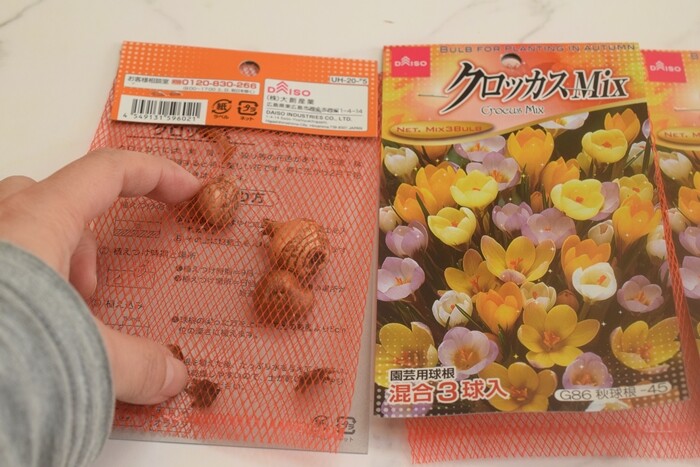 ダイソー 秋植え球根を買ってみました チューリップ クロッカス そして冬のお花 Happy Go Lucky 心地いい暮らしのコツ Powered By ライブドアブログ