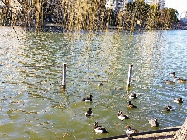 IMG20250211151005