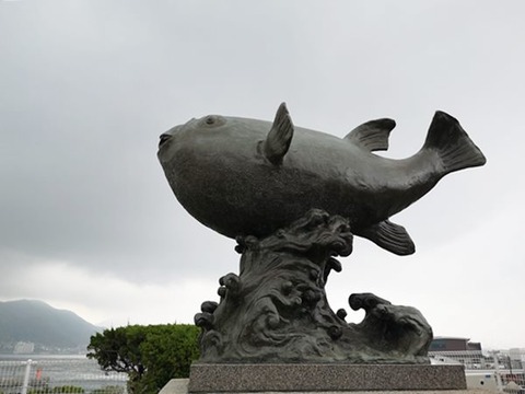 IMG_20190607_113451