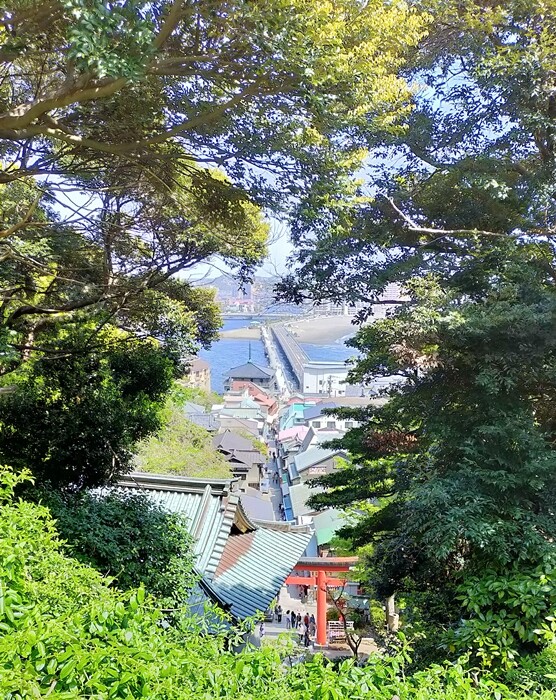 IMG20230412104247