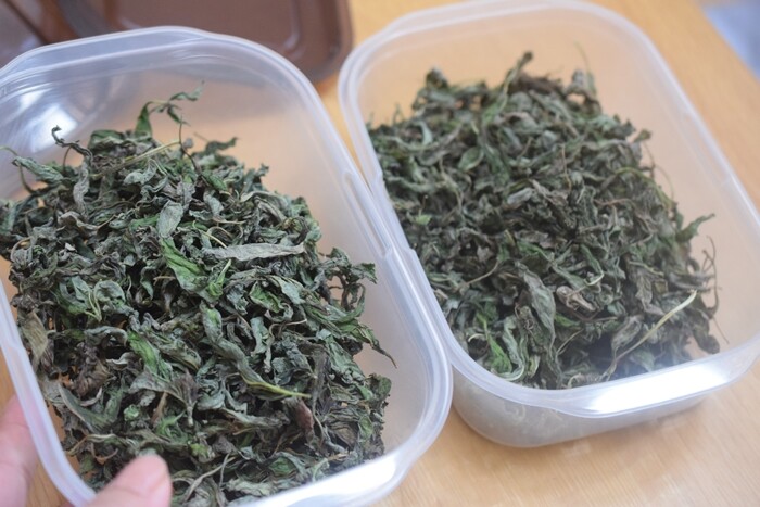 ハーブで保存食作り 強い日差しを利用 天日干しでドライバジル作り Happy Go Lucky 心地いい暮らしのコツ Powered By ライブドアブログ