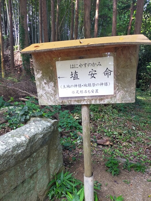 IMG20250703103528