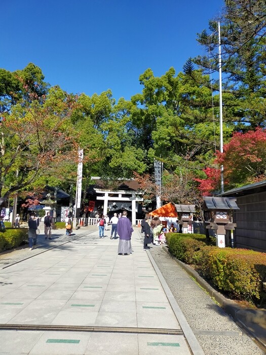 IMG20221103124729